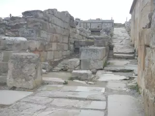 DSCN5355