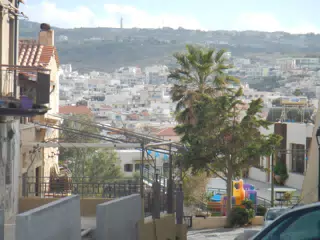 DSCN5401