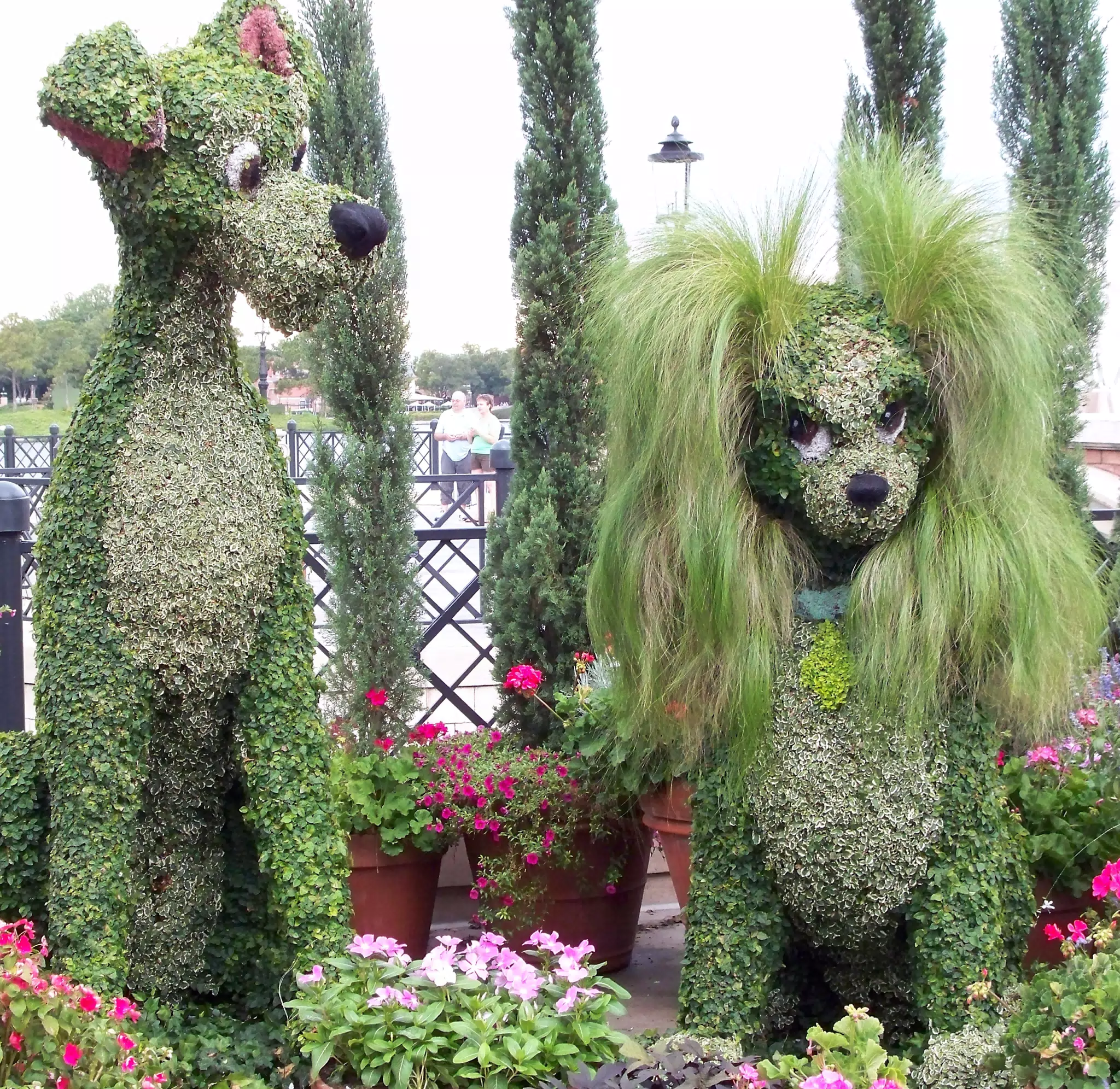 Lady and the Tramp Topiary in Epcot