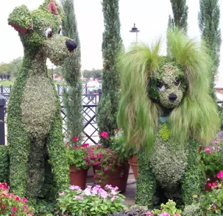 Lady and the Tramp Topiary in Epcot