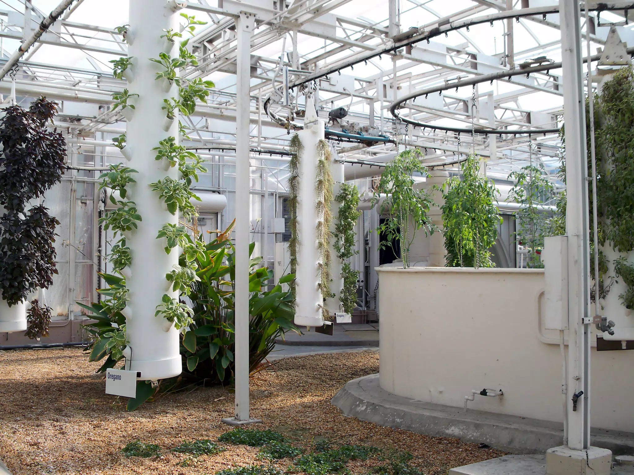 Hanging Drip Systems for Herbs in Disneys The Land Greenhouse