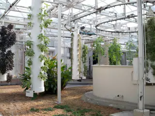 Hanging Drip Systems for Herbs in Disneys The Land Greenhouse