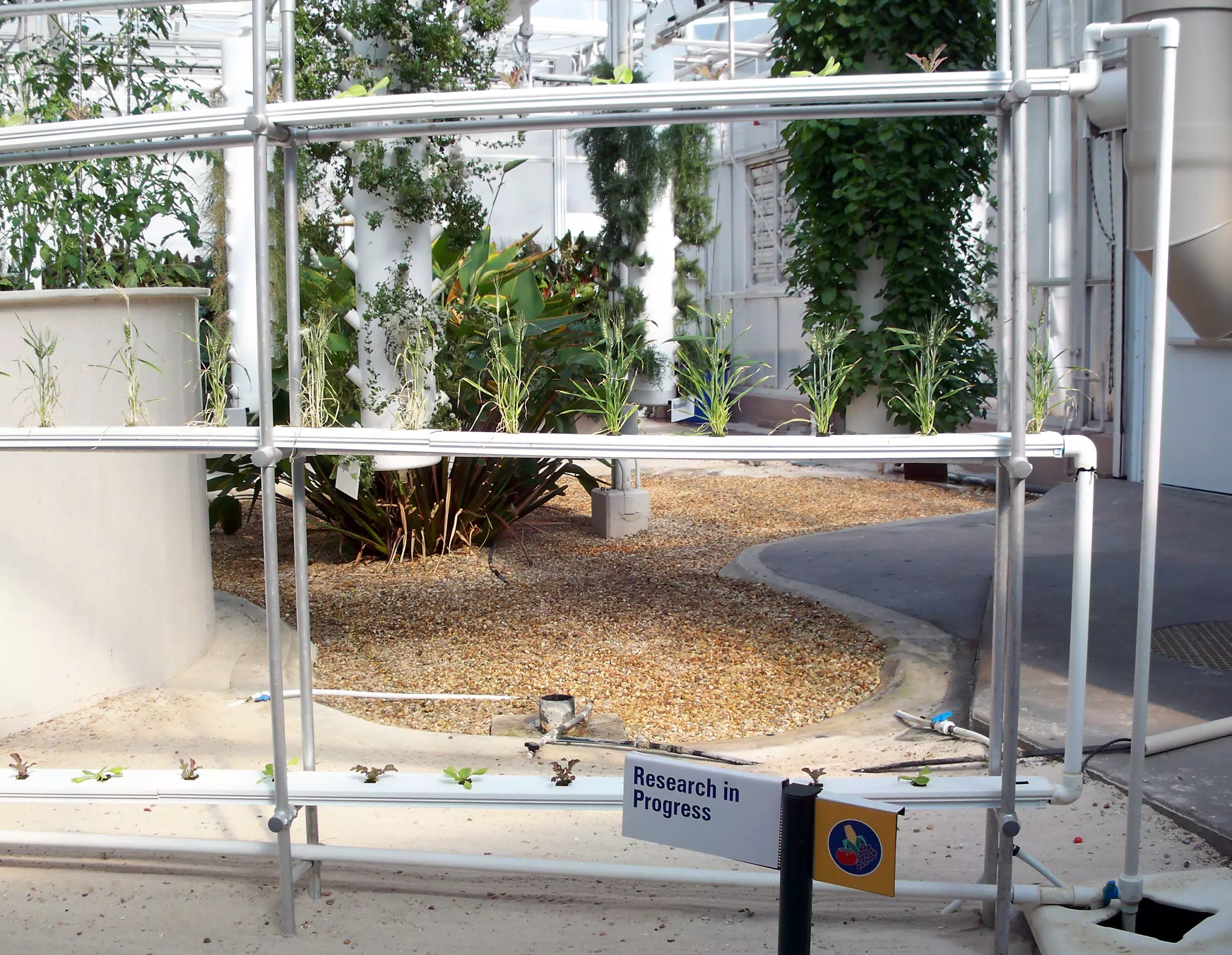 Grain Research in Disneys The Land Greenhouse