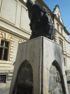 DSCN5625
