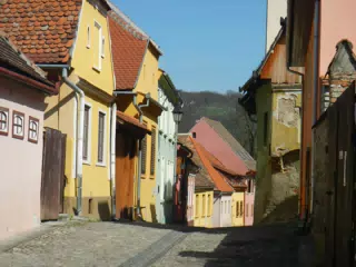 DSCN5651