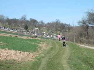 DSCN5661