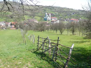 DSCN5665