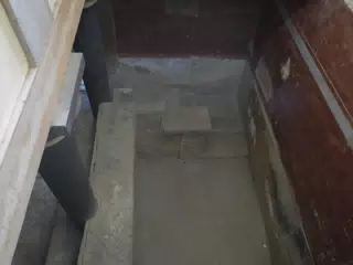 DSCN5333