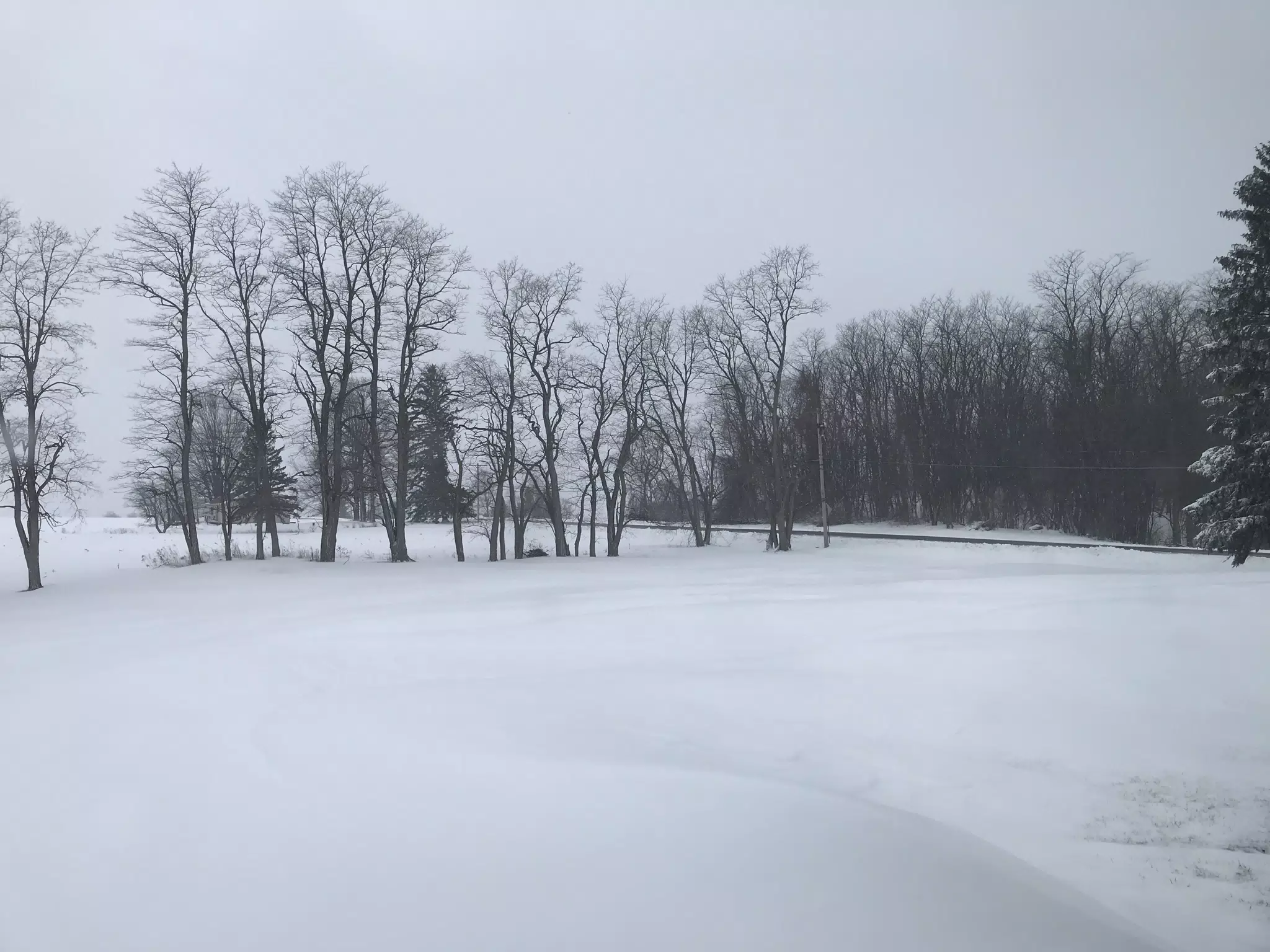 Winter in NY