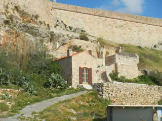 DSCN5377