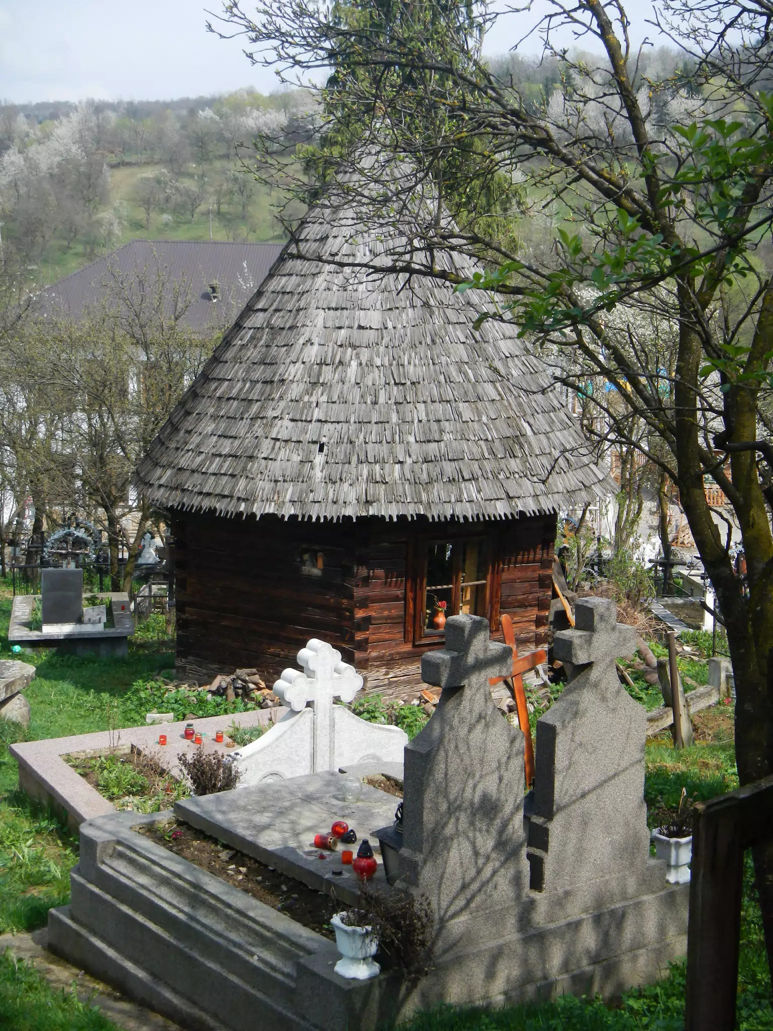 DSCN5719