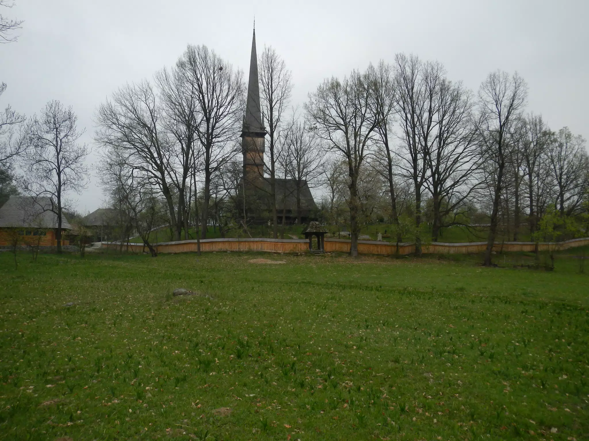 DSCN5681