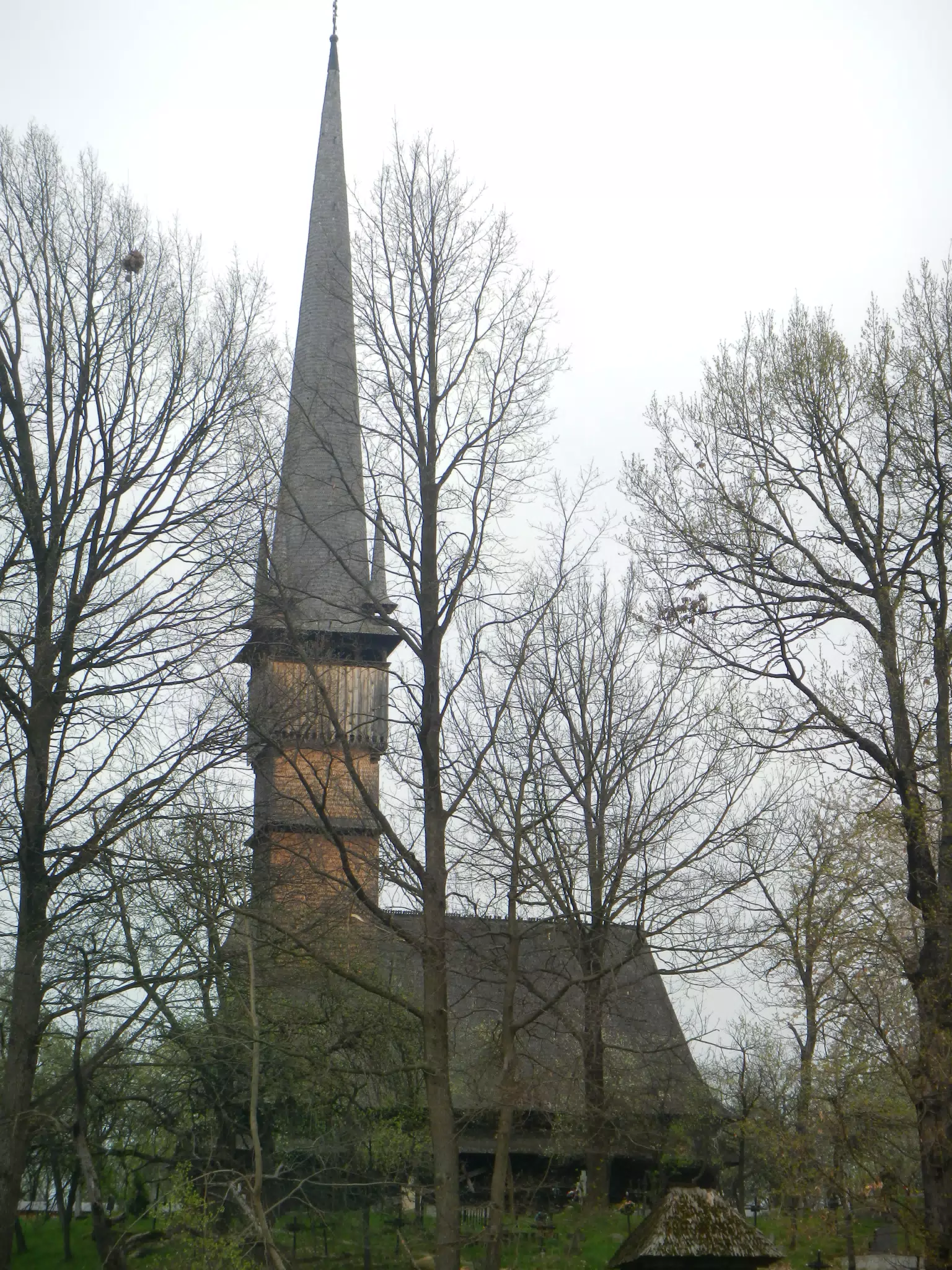 DSCN5682