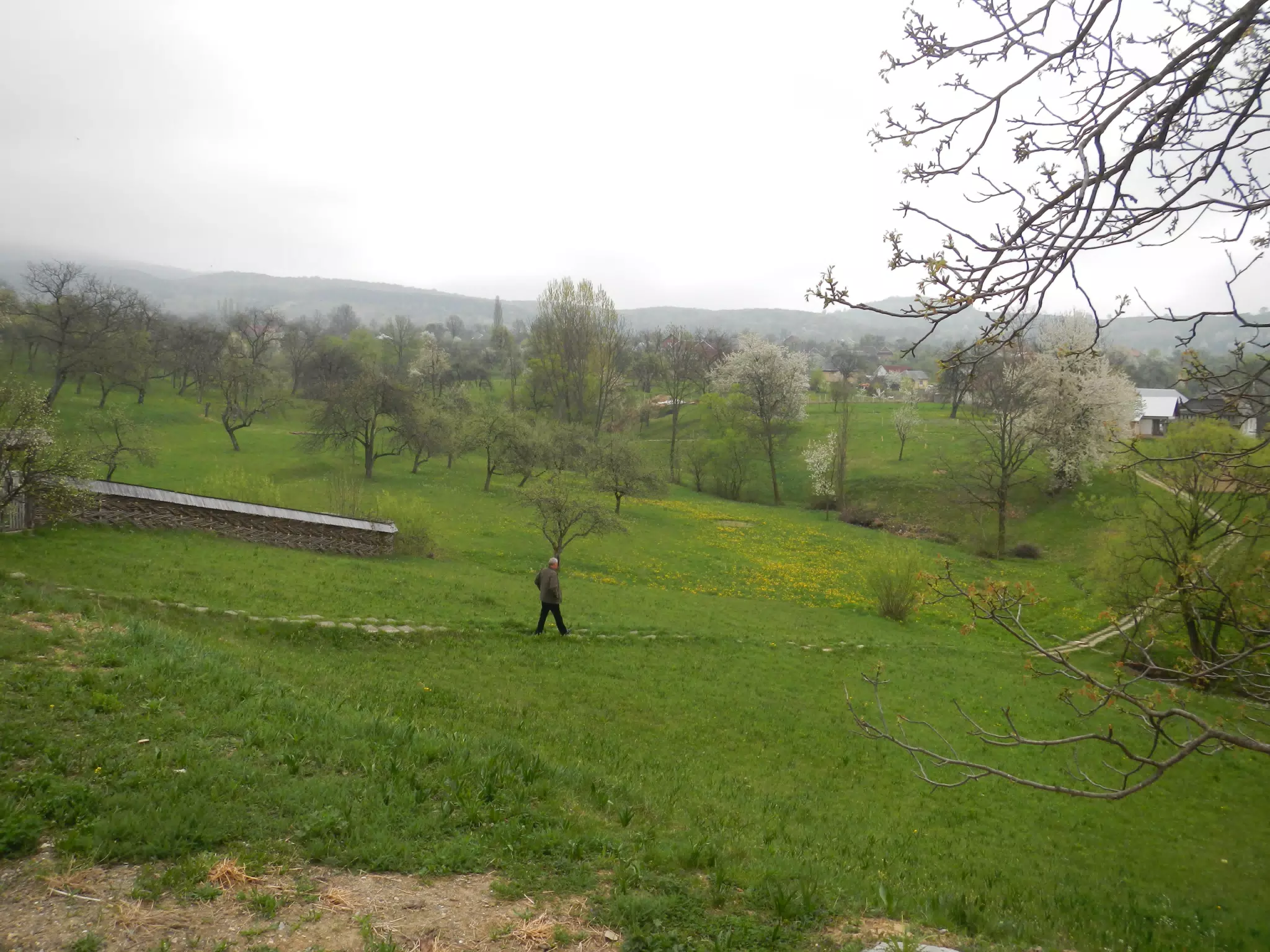 DSCN5696