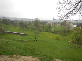 DSCN5696