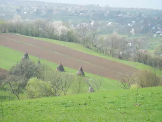 DSCN5721