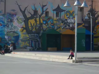DSCN5430
