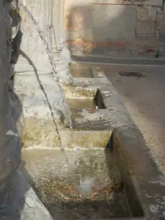 DSCN5436
