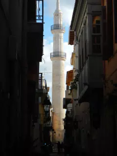 DSCN5439