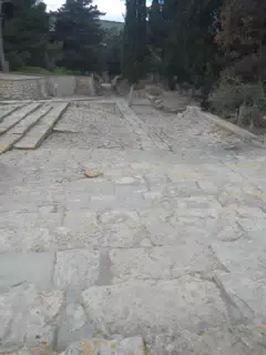 DSCN5359