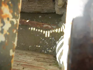 DSCN5354