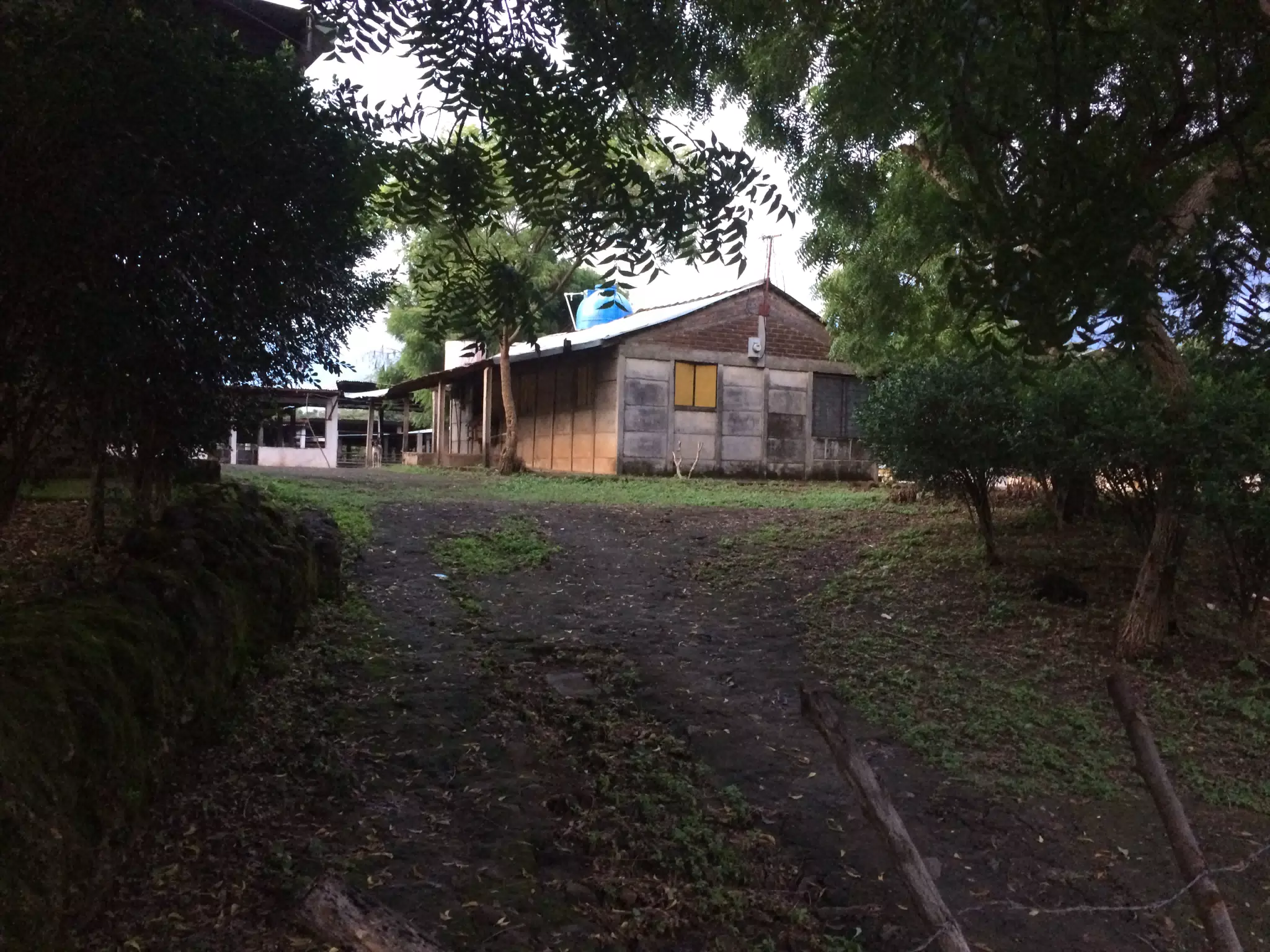 Farm on the Mountain