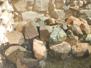 DSCN5351