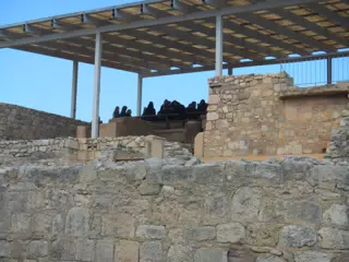 DSCN5345
