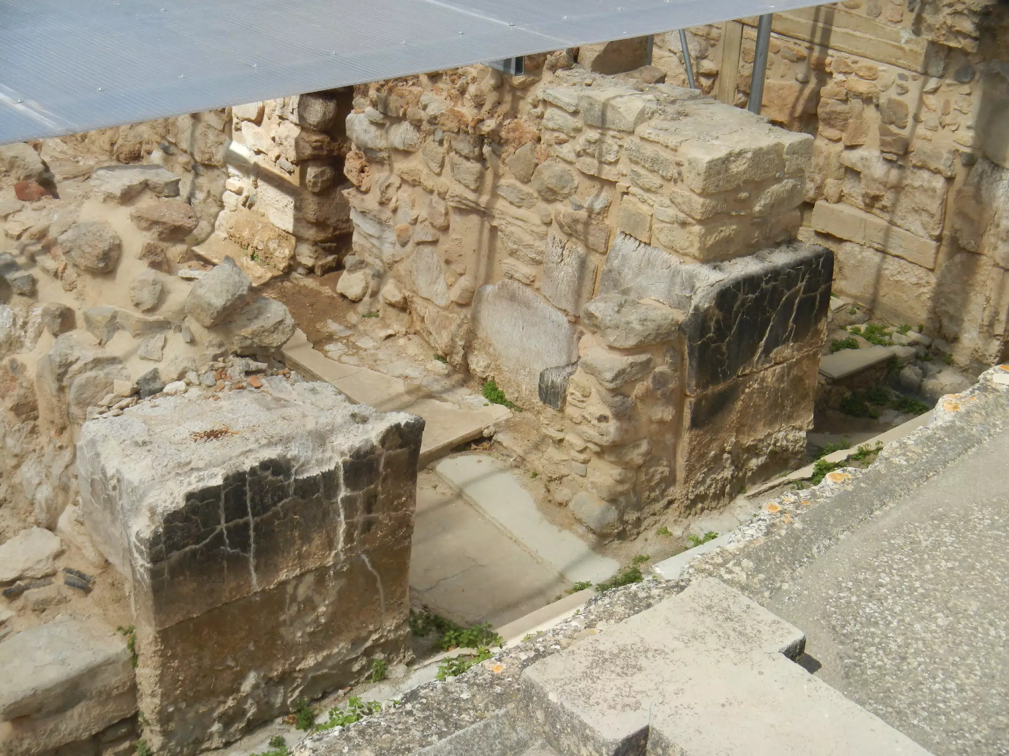 DSCN5328