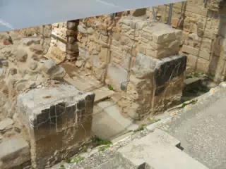 DSCN5328