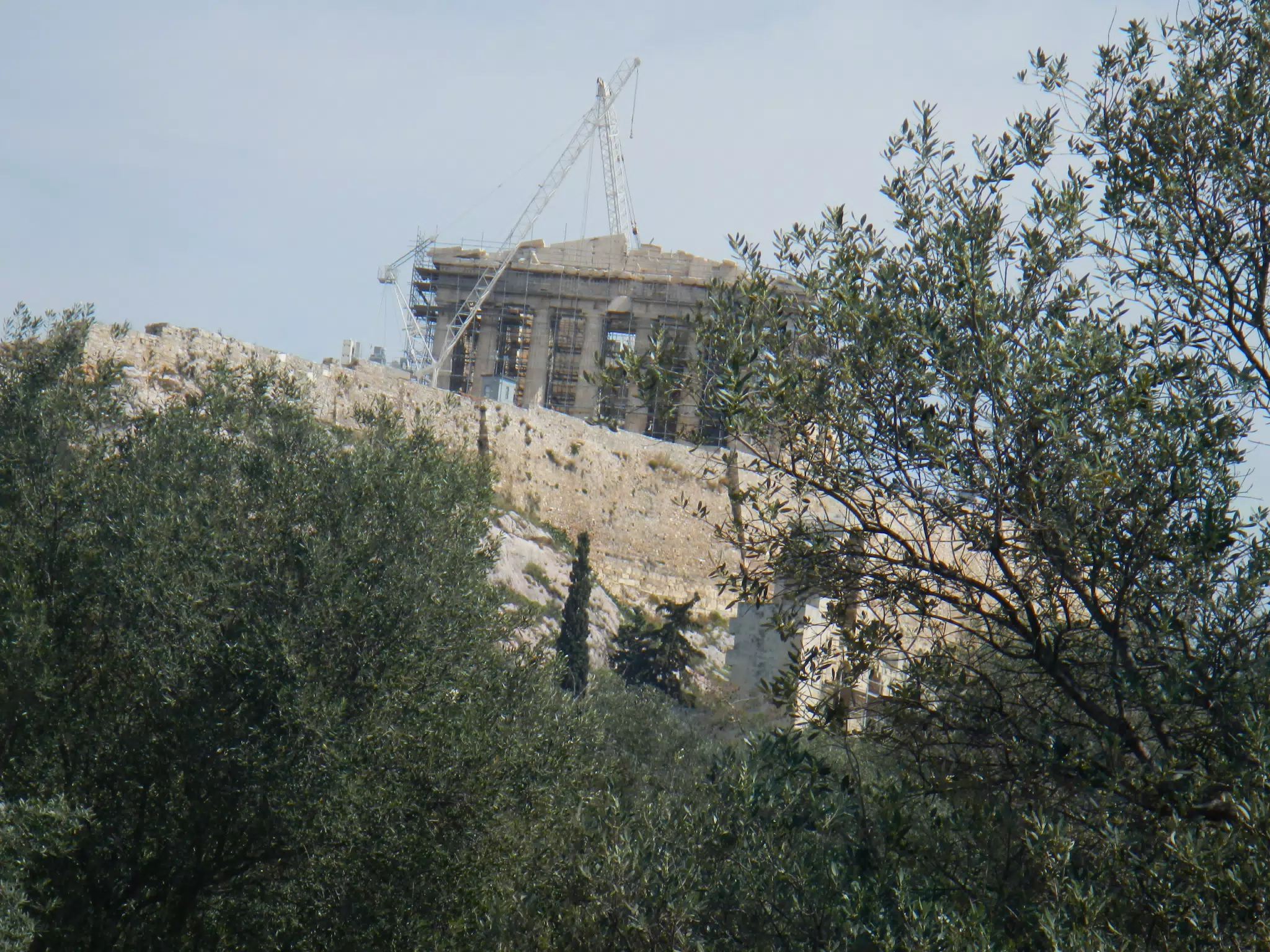 DSCN5513