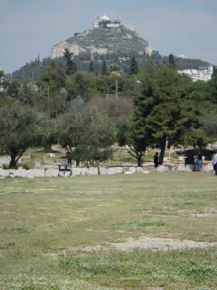 DSCN5545