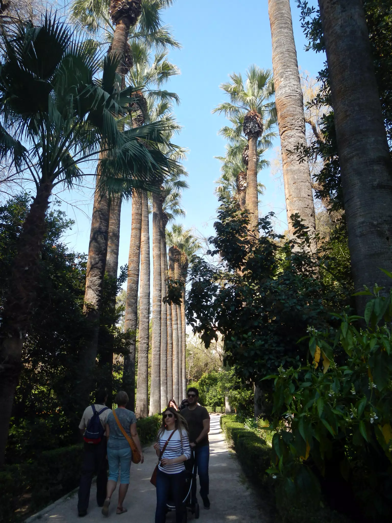 DSCN5559