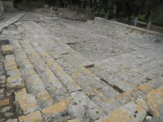 DSCN5358