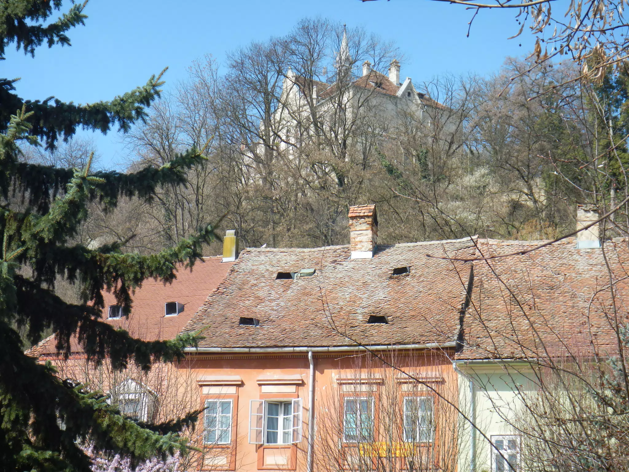 DSCN5600