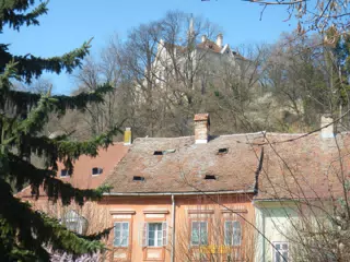 DSCN5600