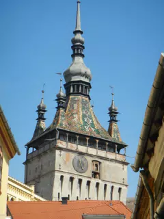 DSCN5601