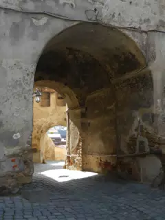 DSCN5610