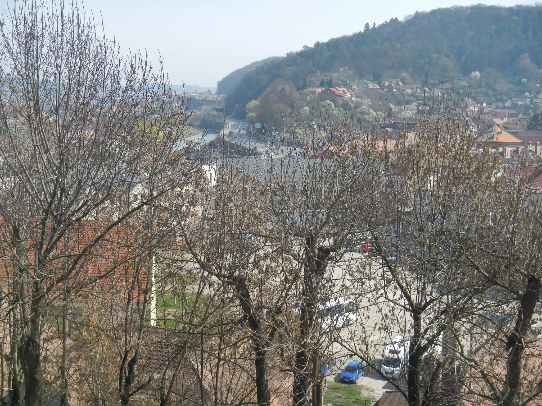 DSCN5616