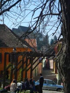 DSCN5636