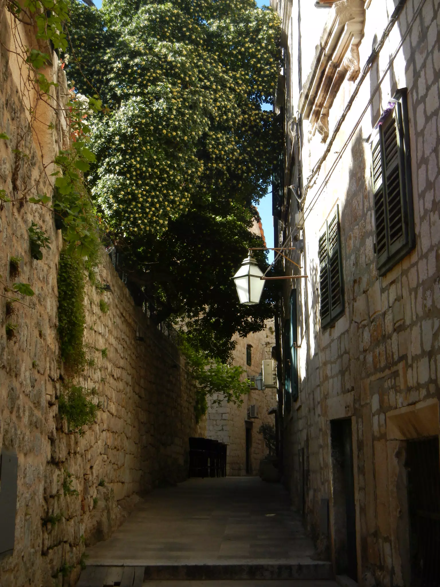 DSCN5792