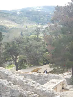 DSCN5342
