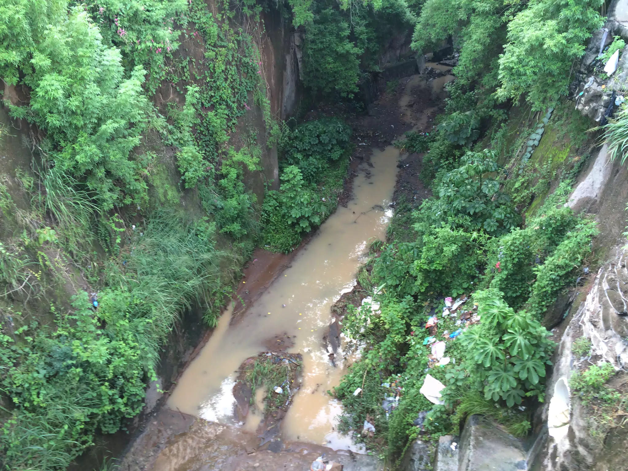 Creek in Granada