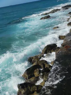 DSCN5370