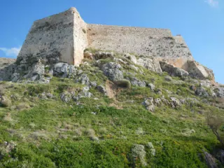 DSCN5379