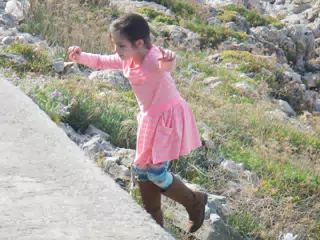 DSCN5388