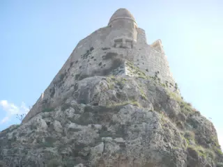 DSCN5397