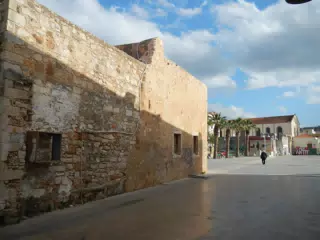 DSCN5411