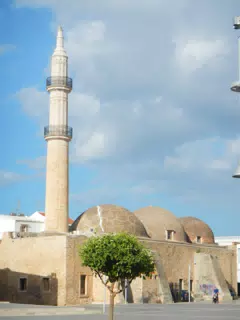 DSCN5414