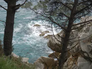 DSCN5861
